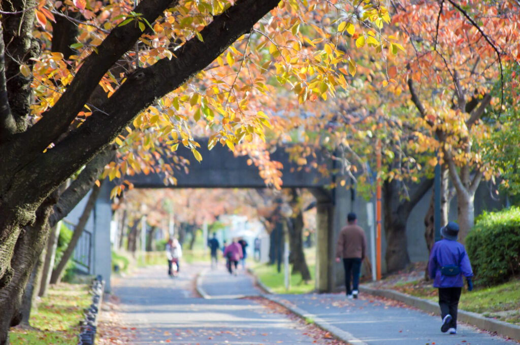 Kema-sakuranomiya-park-autumn