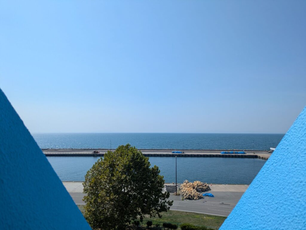 uozu-underwater-sugi