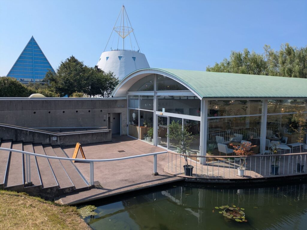 uozu-underwater-sugi