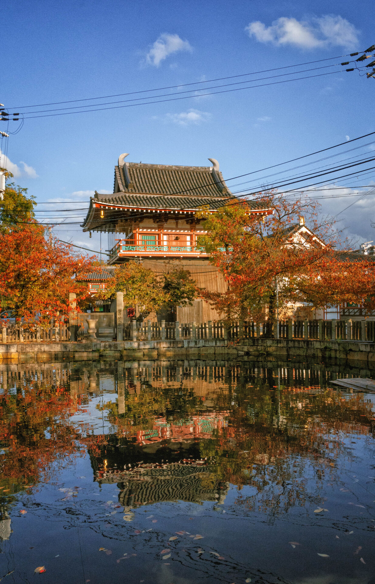 Shitennoji-temple-autumn