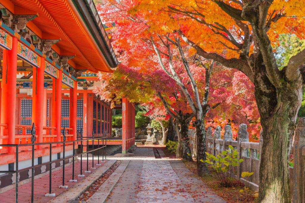 hiroshima-ikuchijima-kosanji-temple-fall