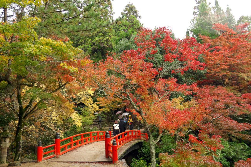 miyajima-fall-momiji-dani-park