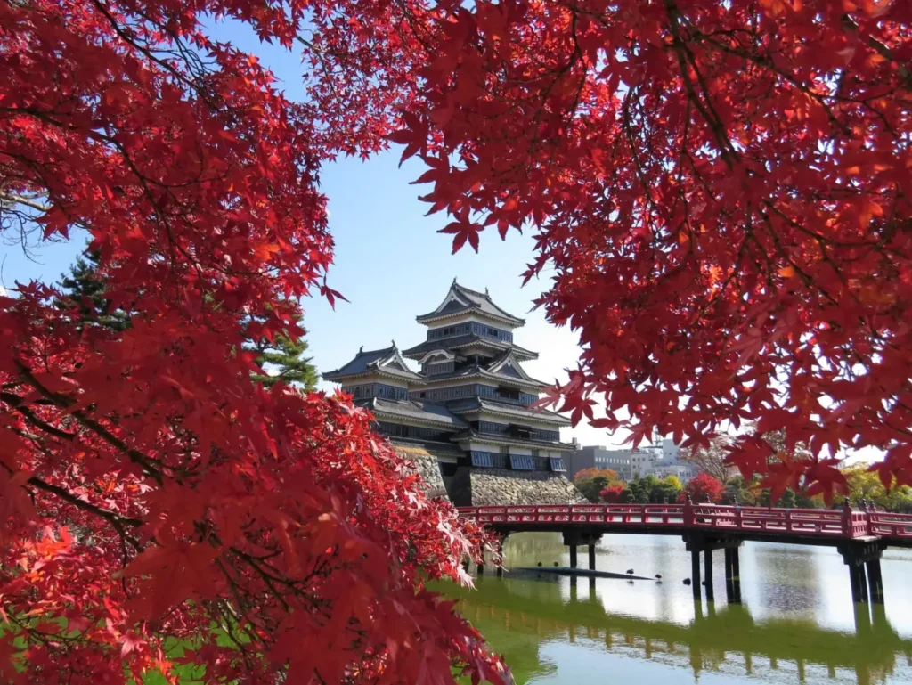 matsumoto-autumn