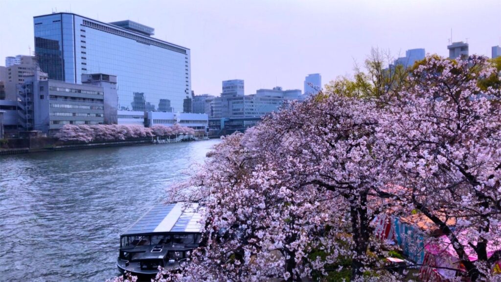 Kema-sakuranomiya-park-cherry-blossoms
