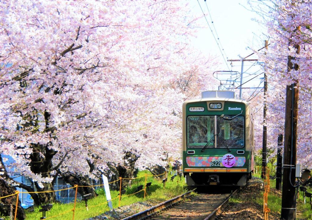 Arashiyama-kyoto-cherry-blossoms-sakura