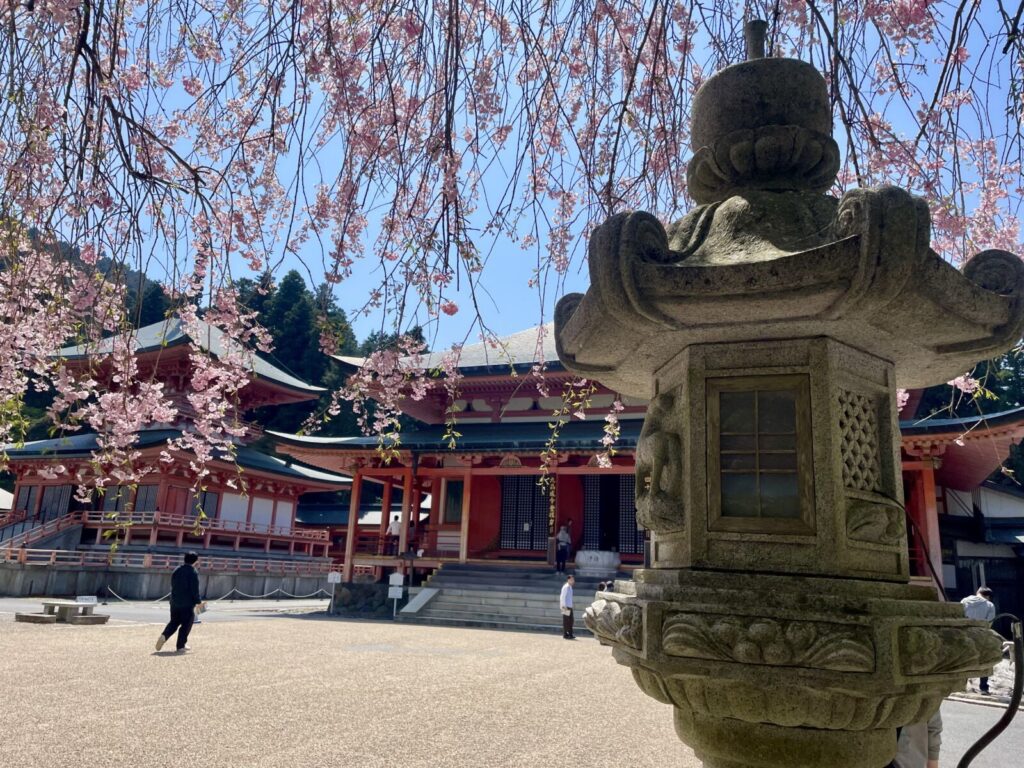 Enryakuji-temple-cherry-blossom-kyoto-sakura