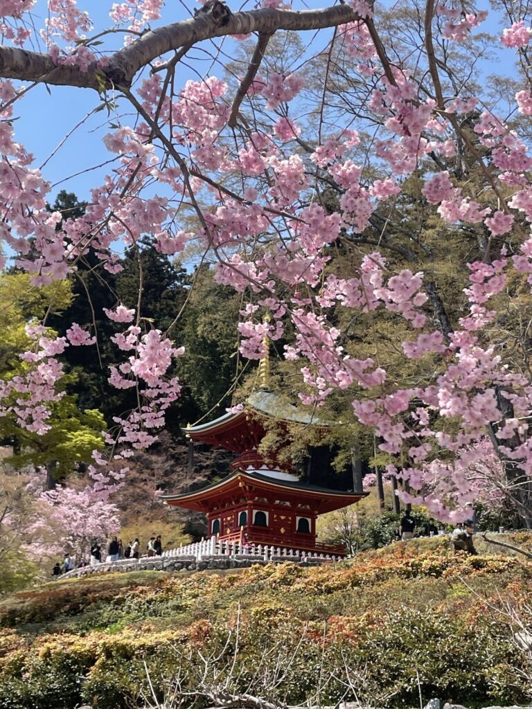 Katsuoji-temple-minoh-osaka-cherry-blossom-sakura-pagoda