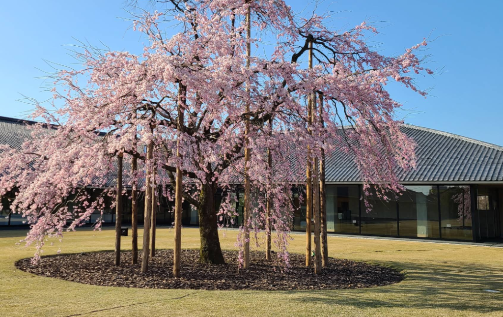toyama-suiboku-museum