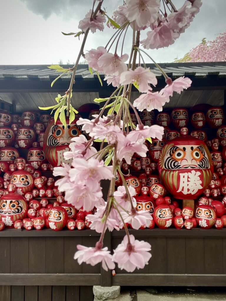 katsuoji-temple-daruma-sakura-cherry-blossoms-osaka-minoh