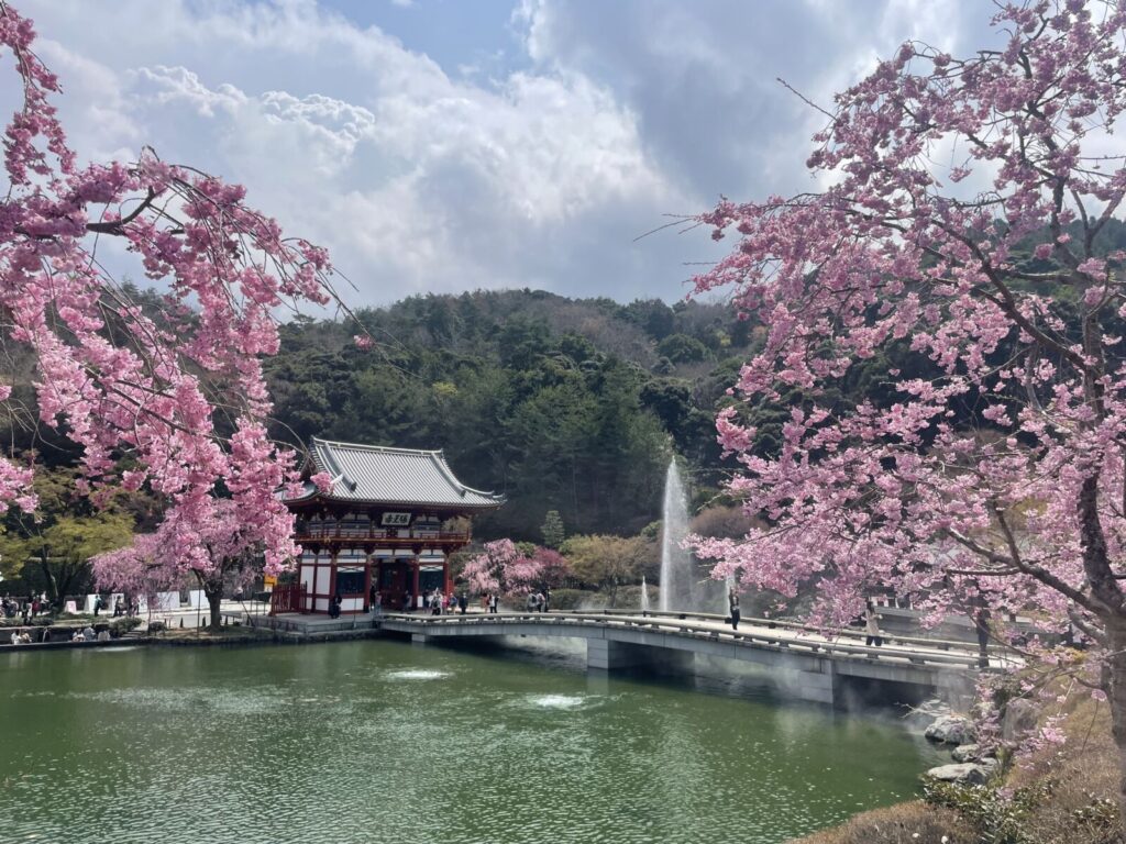 katsuoji-temple-sakura-osaka-minoh-cherry-blossom-spring-gate