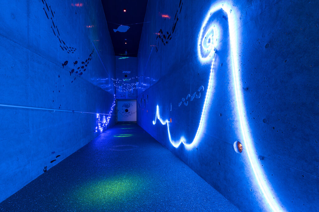 Hotaruika-Firefly-Squid-Museum