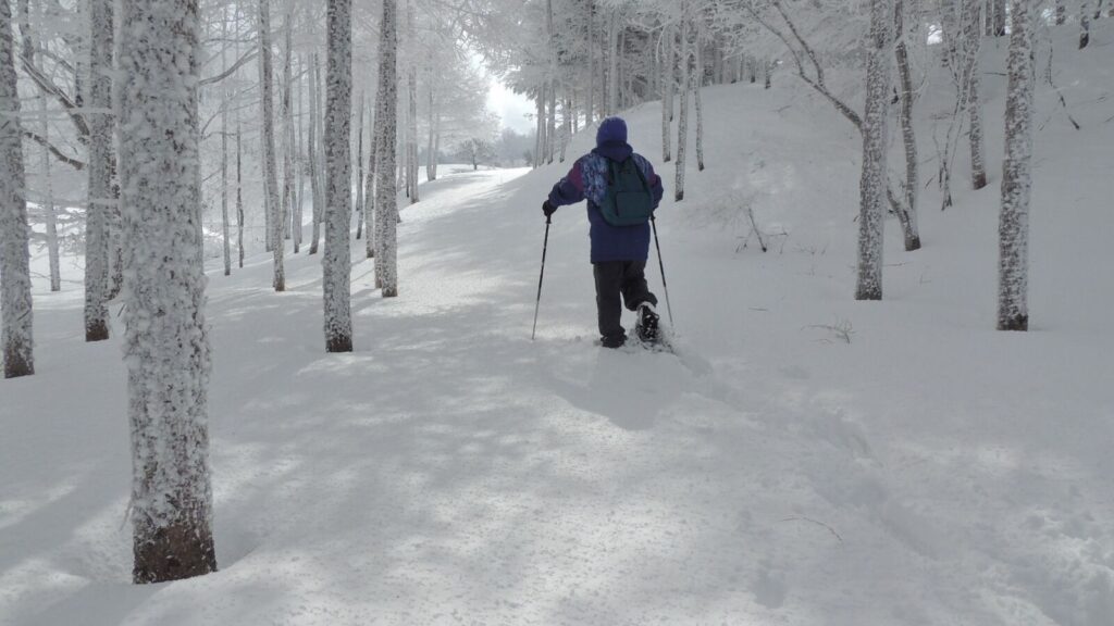 suzaka-snowshoe