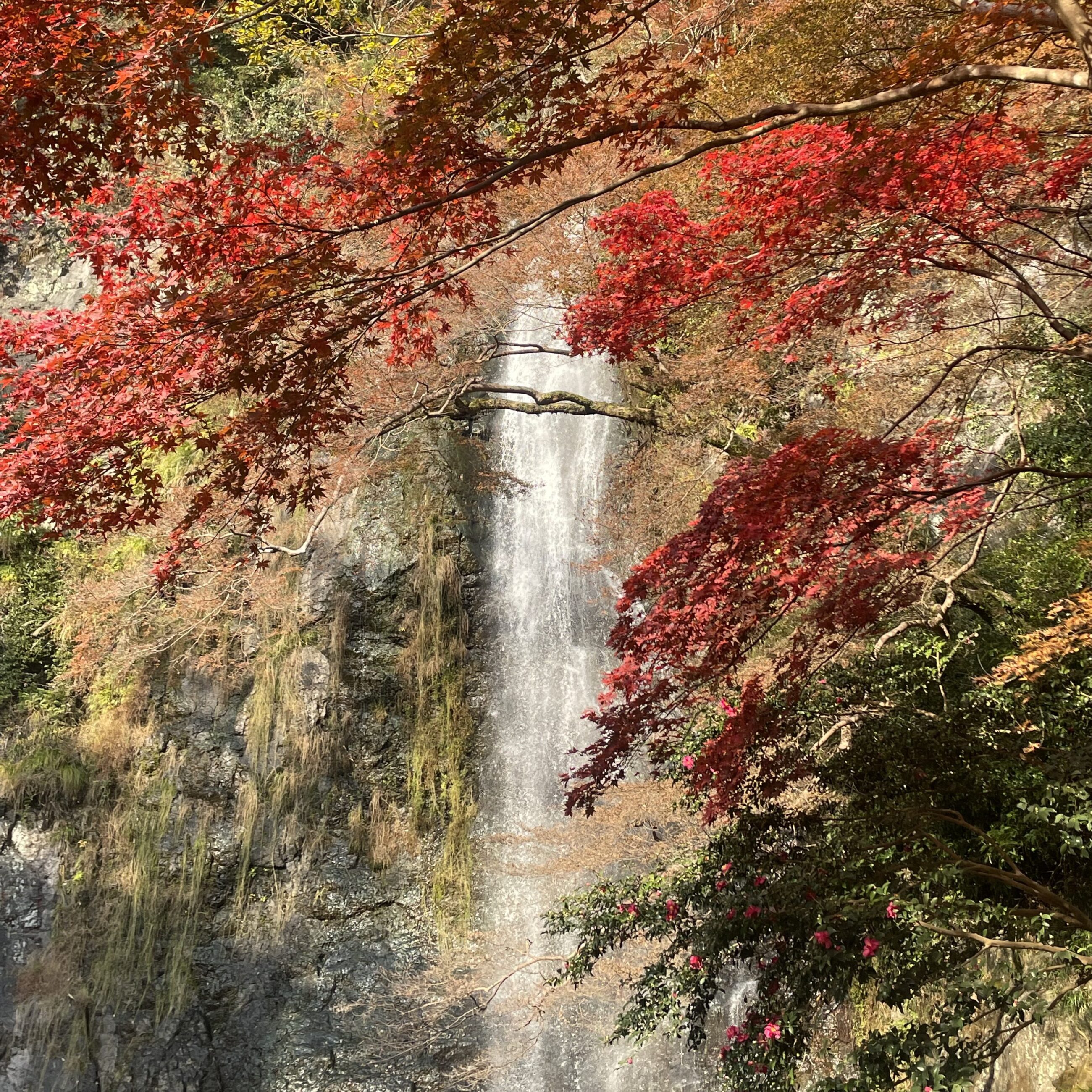 minoh_falls_autumn_CU