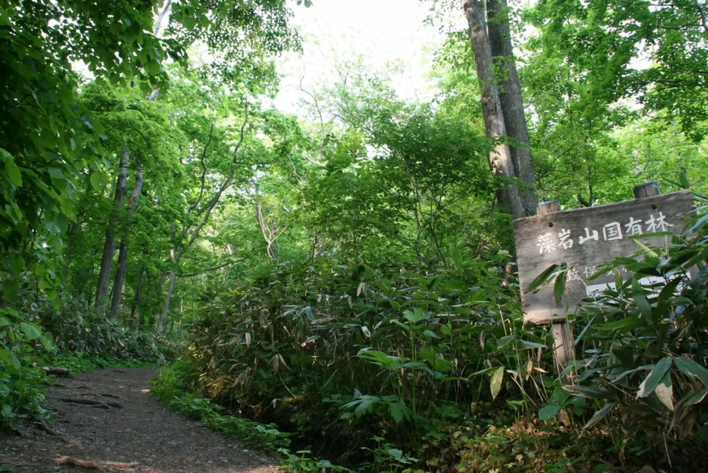 hokkaido-sapporo-moiwa-trail