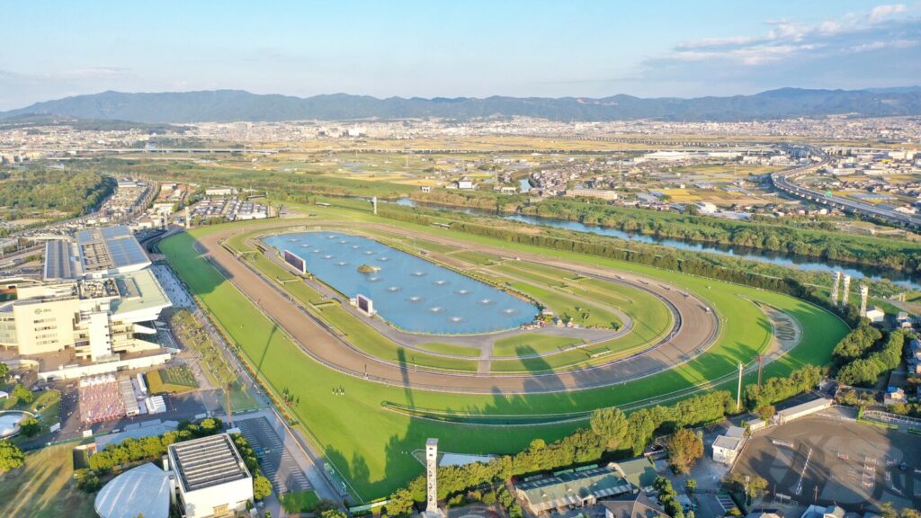 Kyoto-racecourse-fushimi-horses