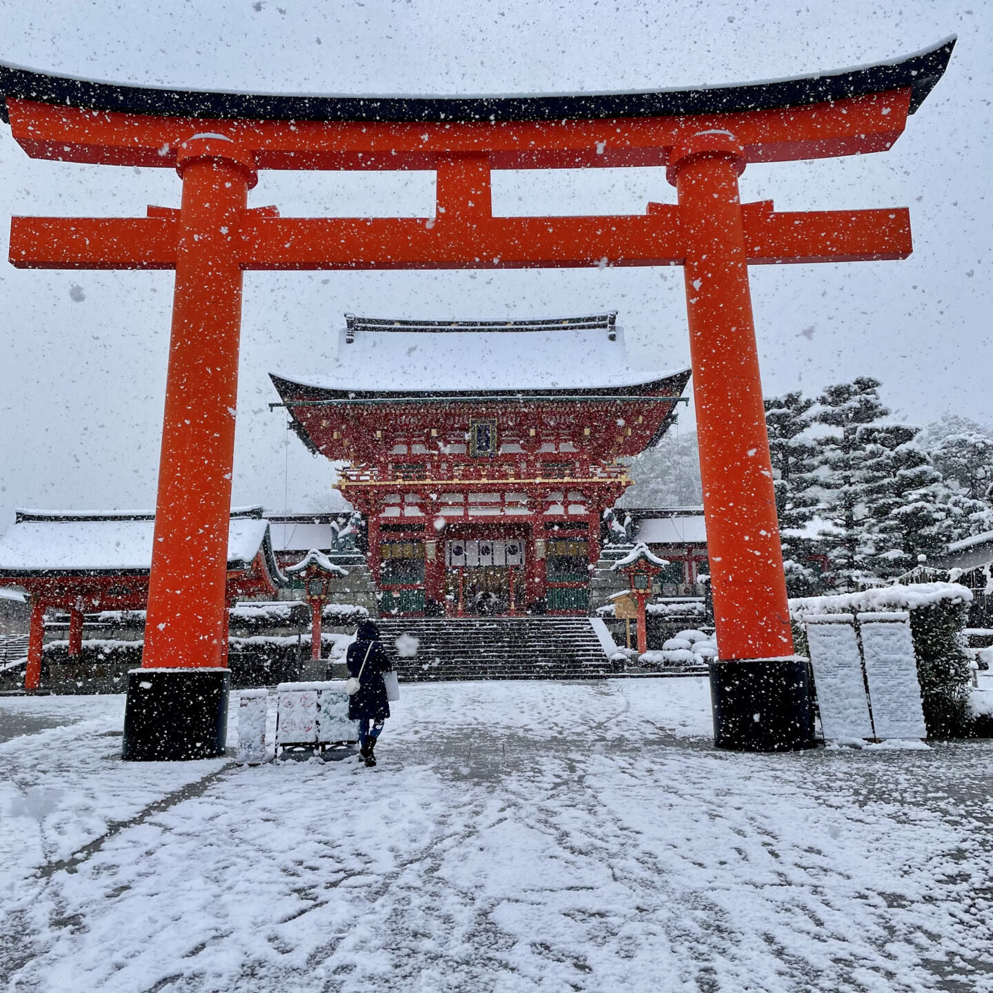Fushimi-Inari-winter
