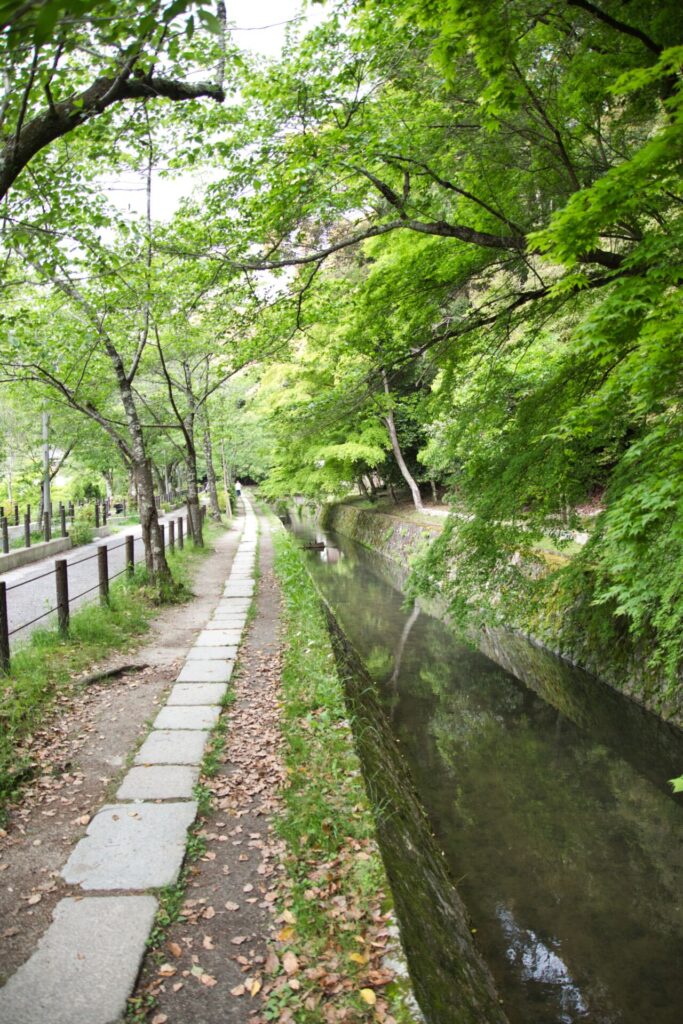 philosophers-path-kyoto-summer