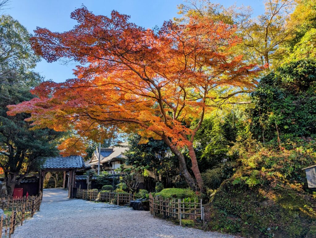 yoshino-yoshimizu-shrine