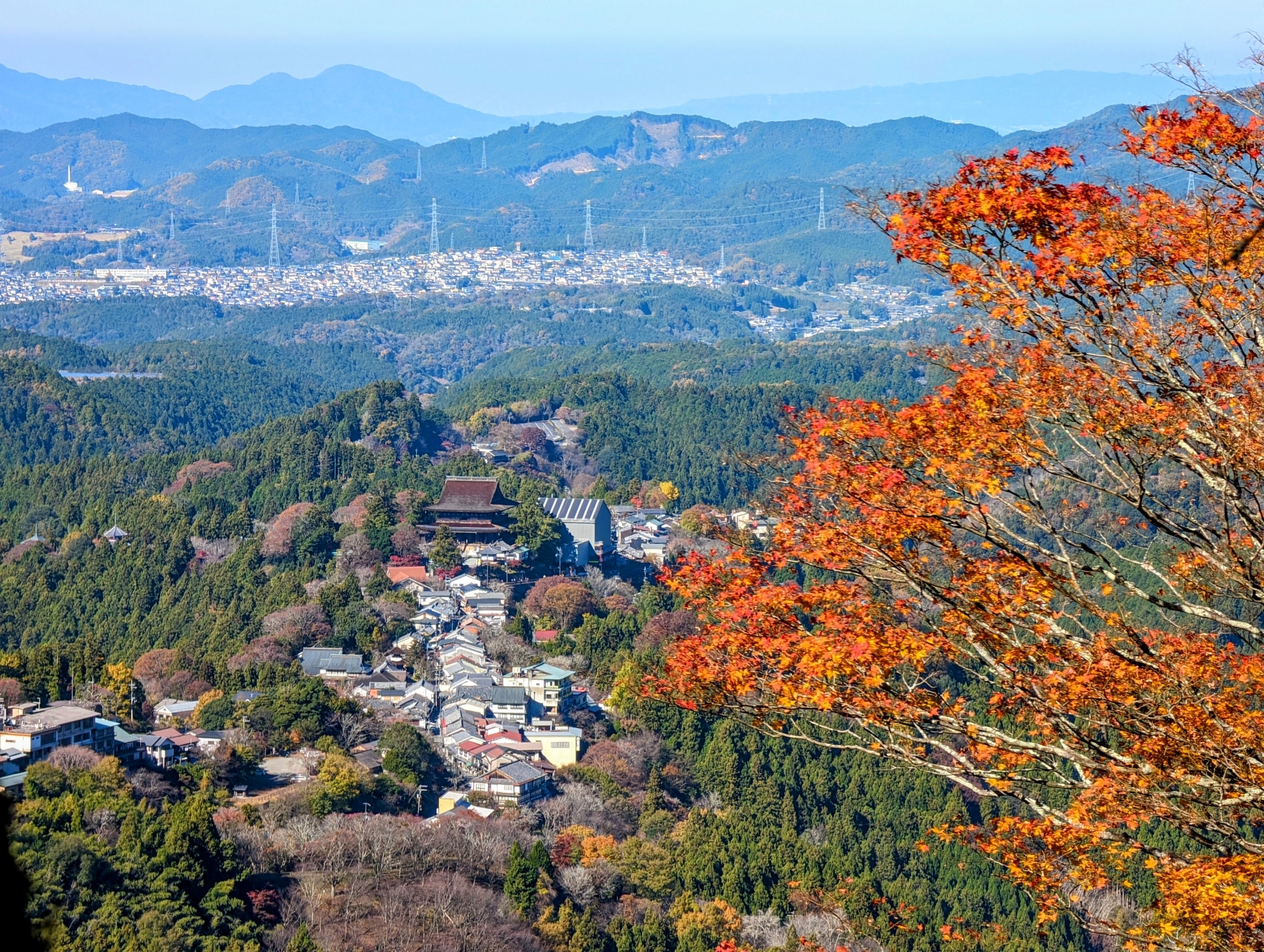 yoshino