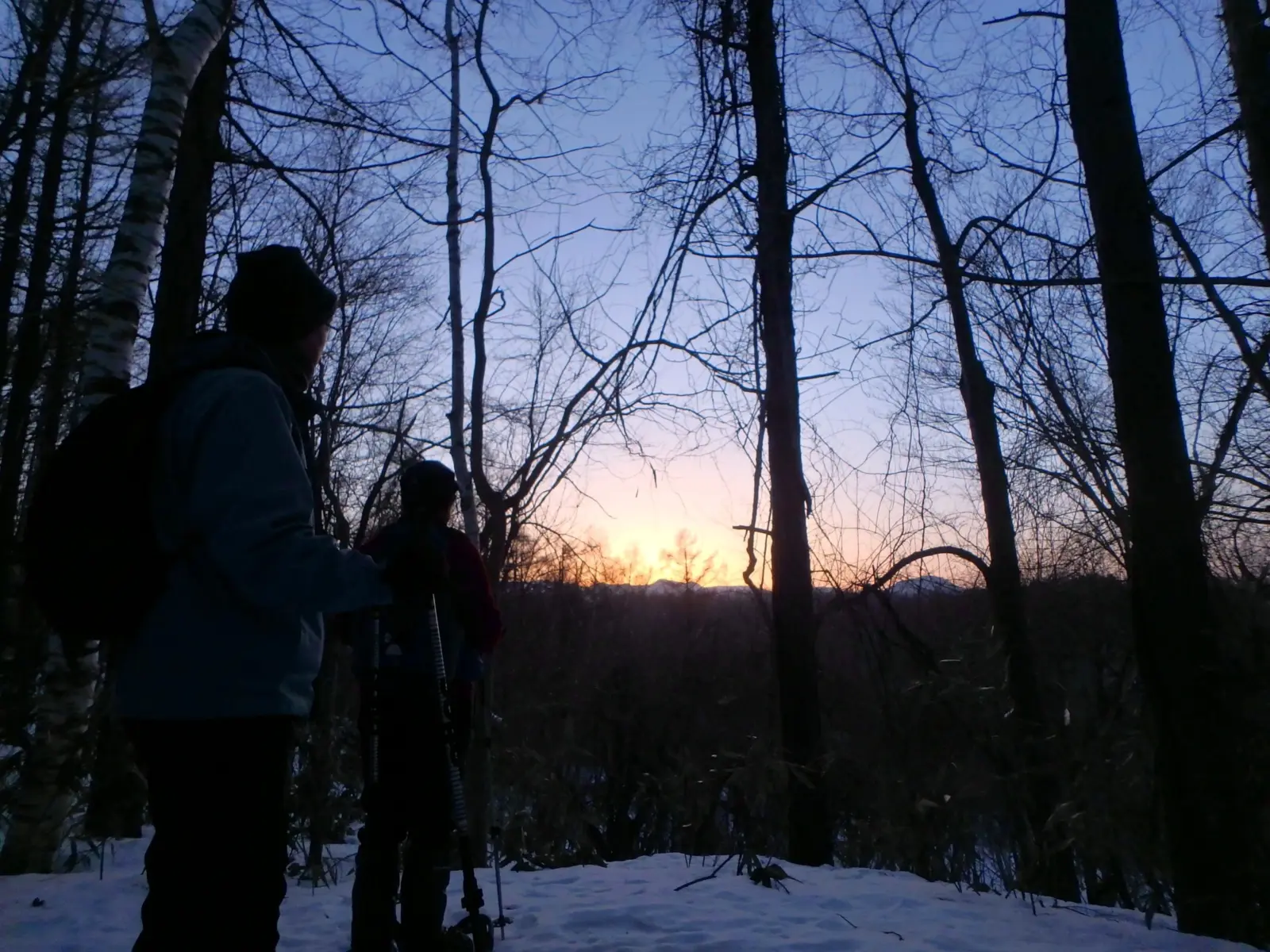 Hokkaido-Takino-Suzuran-Hillside-Park-Sapporo-March