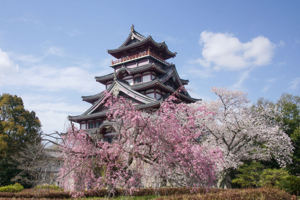 Fushimi-momoyama-castle-kyoto-spring-cherry-blossoms