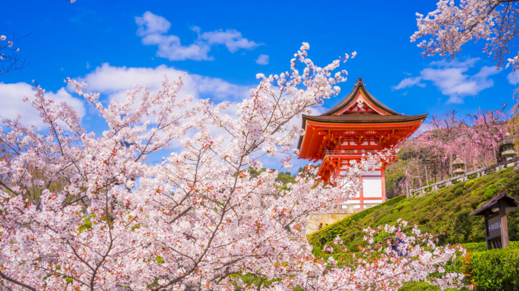 kiyomizu-dera-spring-kyoto-cherryblossoms
