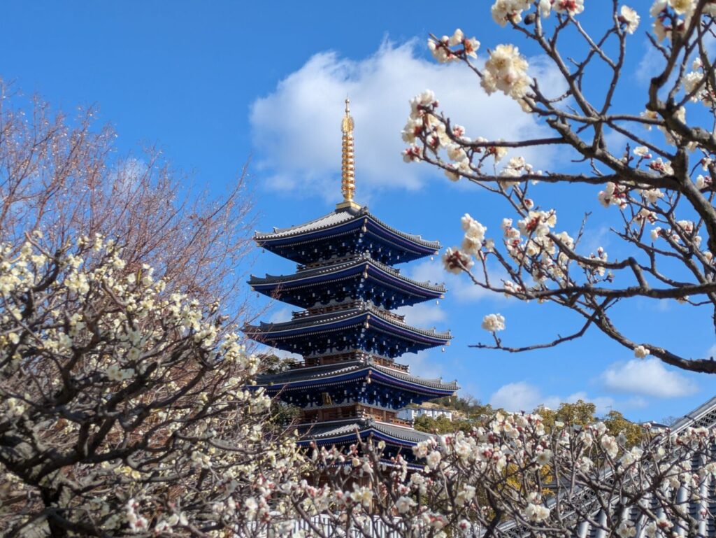 nakayamadera-temple-spring