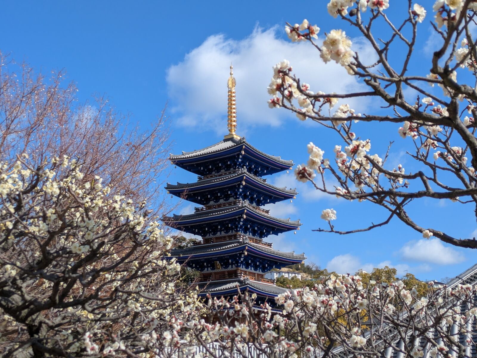 nakayamadera-temple-spring