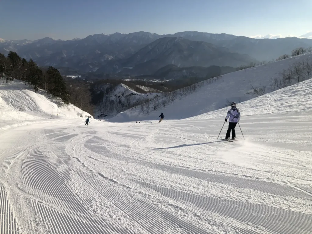 Skiers and snowboarders going down the slopes at Iwatake in March.