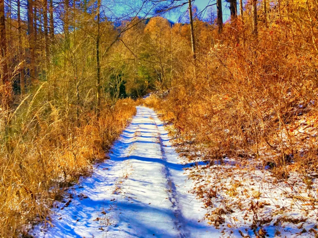 Melting snow on a walking trail in Nagano in March.