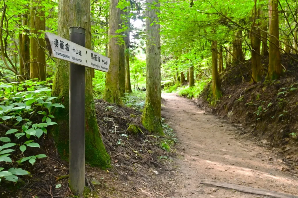 A dirt path along the Nakasendo Trail between Tsumago and Magome.
