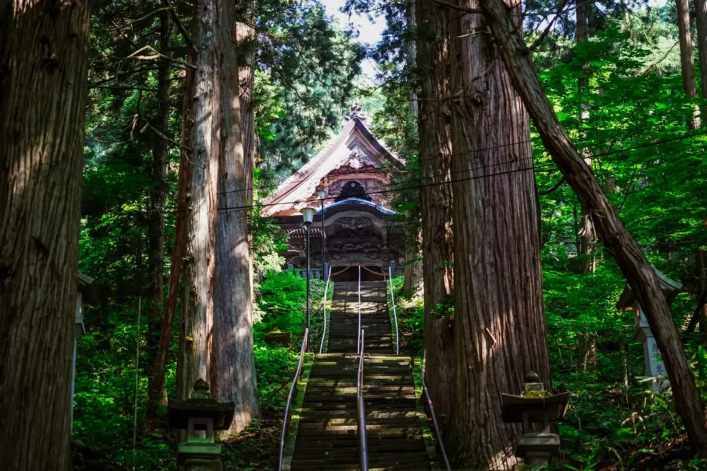 A view of the Togakushi Chusa through the cedar trees in Togakushi.