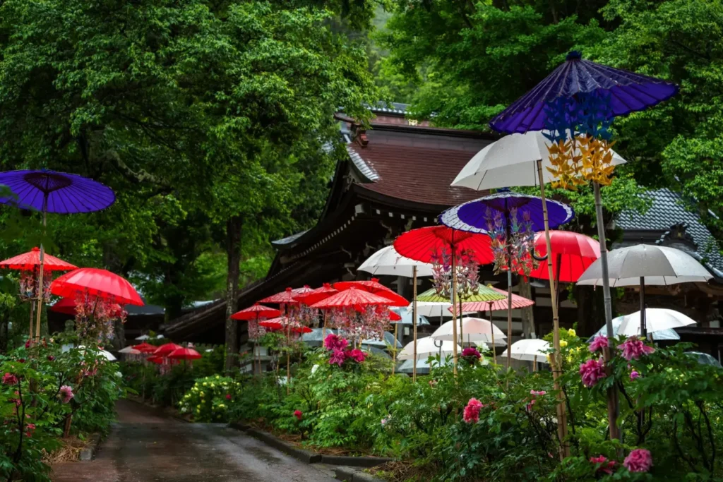 Umbrellas protect a temple ground from rain.