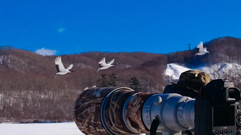 General picture of a camera in winter scenery.