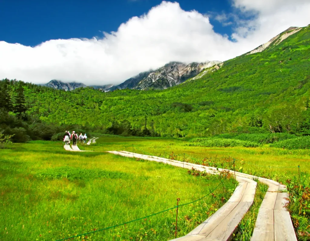 tsugaike nature park