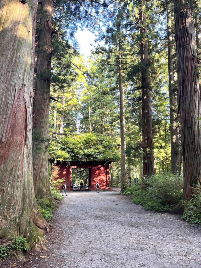togakushi