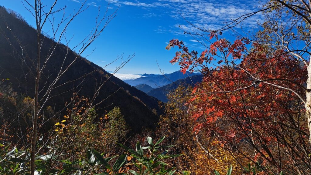 Fall foliage on Kirigamine in Nagano in autumn.