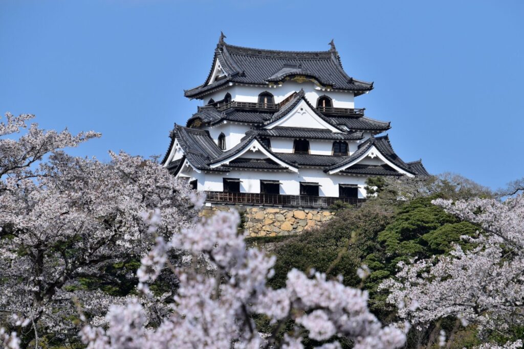 hikone-castle-shiga-kyoto