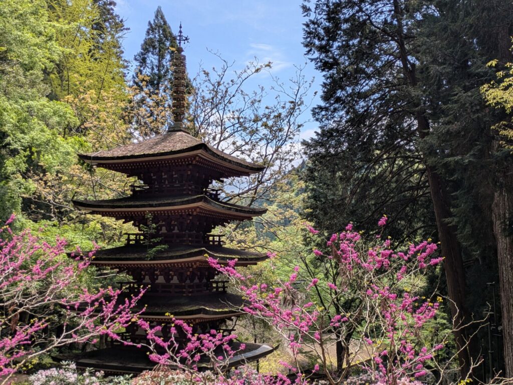 muroji-temple-pagoda-nara