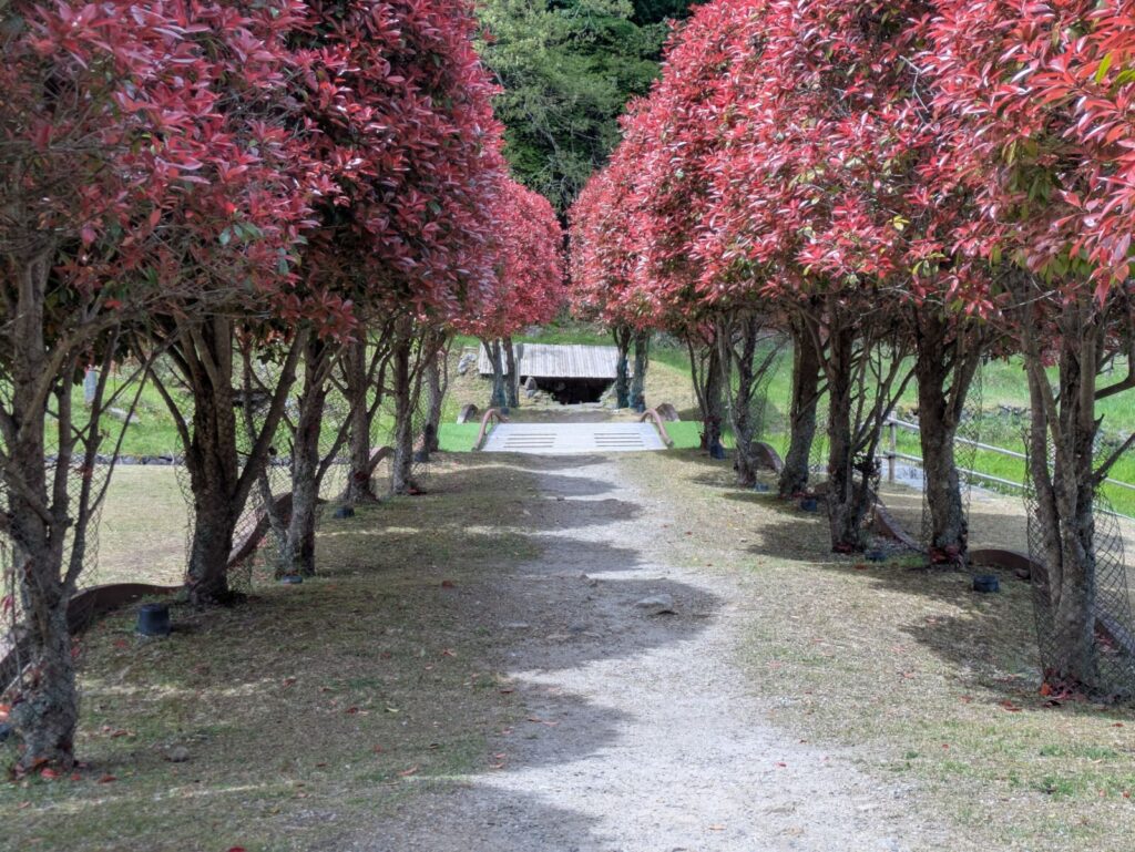 nara-muroji-art-forest