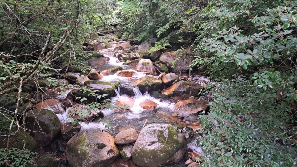 A clear stream flows down the mountainside on Chogatake in the northern alps of Nagano, Japan.