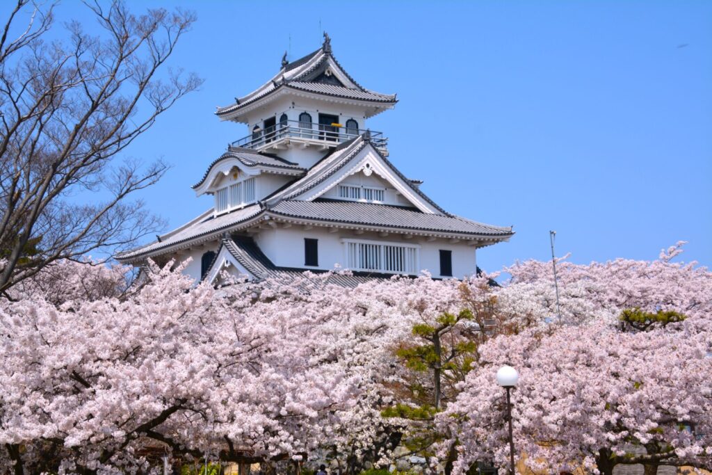nagahama_castle_lake-biwa_shiga