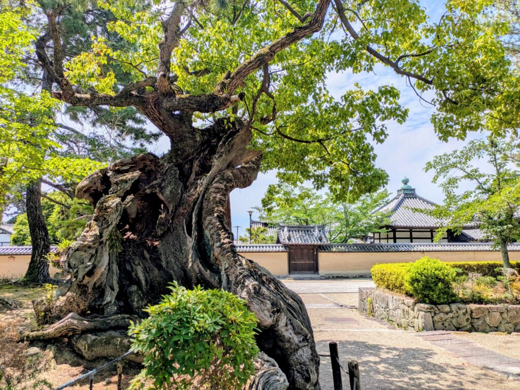 horyuji-temple