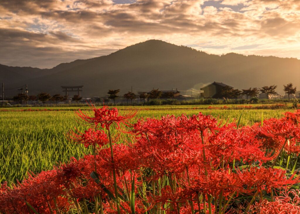 miwa-mountain-yamanobe-no-michi