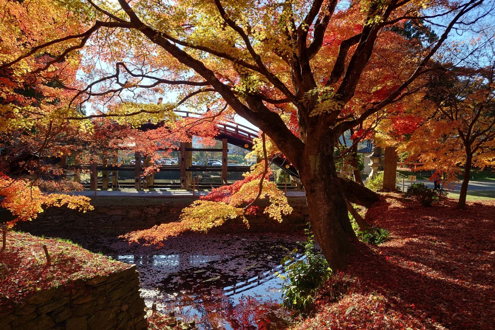 niutsuhime-shrine-wakayama