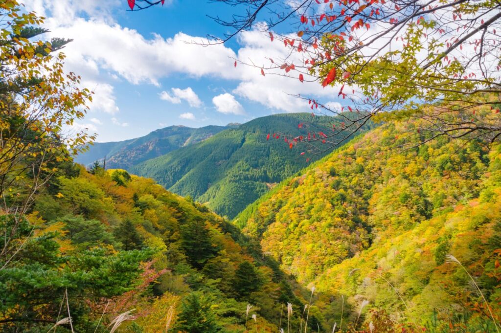 Koya-Ryujin-Skyline-wakayama