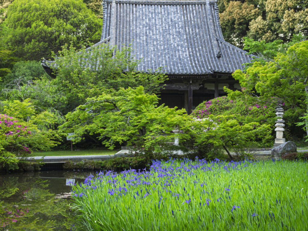 Chogakuji-Temple-yamanobe-no-michi