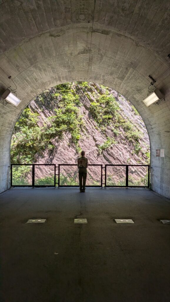 One of Japan's three great gorges, the Kiyotsu Gorge in Niigata.