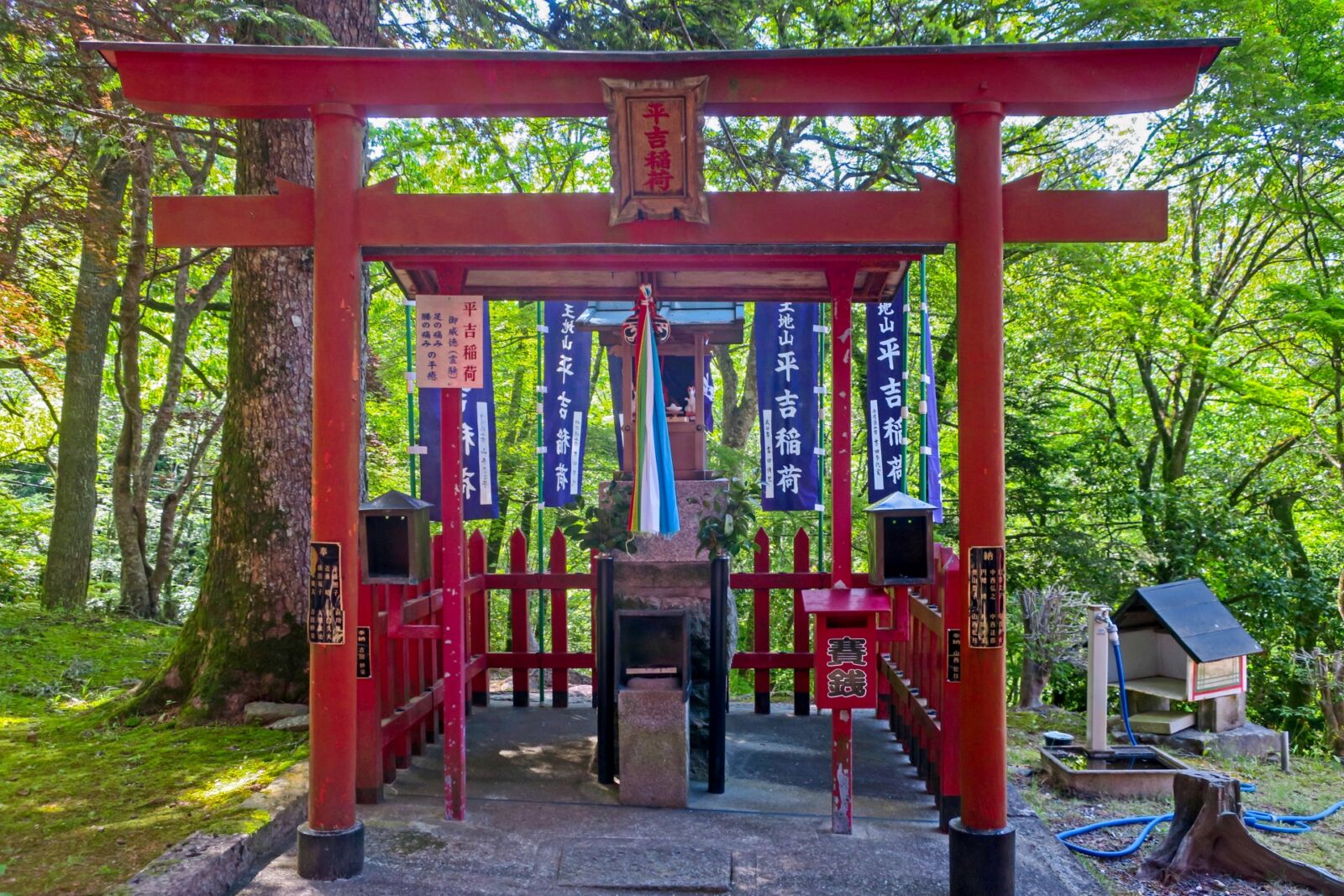 tamba-sasayama-castle