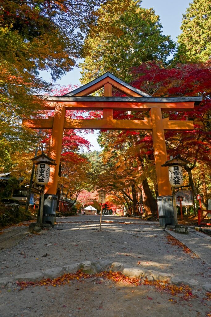 hiyoshi-taisha-torii